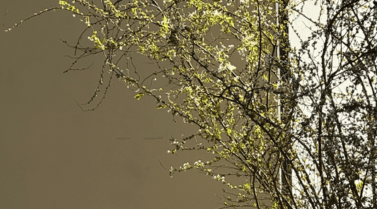 A Quiet Corner, for Our Unfoldings