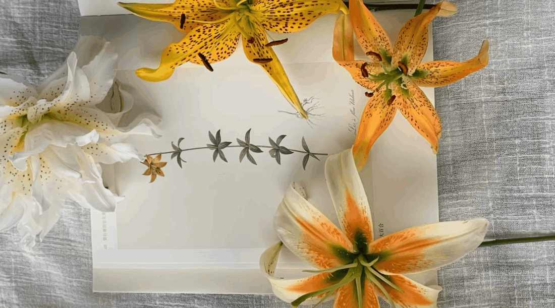 The Lily Edit: Our Lily Season Story